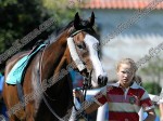 110903_ne_001_s.jpg