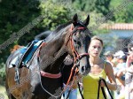 110903_ne_004_s.jpg