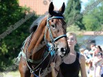 110903_ne_005_s.jpg