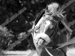 110903_ne_007_s.jpg