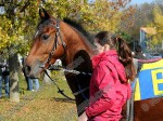 111028_sl_022_s.jpg