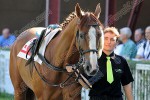 120909_ch_478_s.jpg