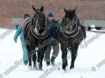 120123_kl_017_s.jpg