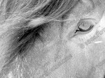 120123_kl_020_s.jpg