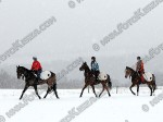 120123_kl_027_s.jpg