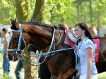 120501_ly_375_s.jpg