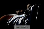 141019_ch_0195_s.jpg