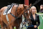 140831_ch_560_s.JPG