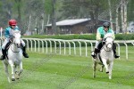 140501_ll_0567_s.JPG
