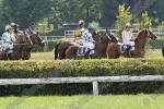 140726_pc_0570_s.JPG