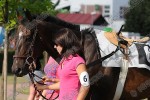 140726_pc_0687_s.JPG