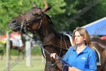 140726_pc_0691_s.JPG