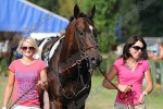 140726_pc_0698_s.JPG