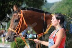 140802_sl_415_s.JPG