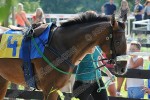 140802_sl_424_s.JPG