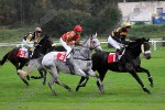 141014_sl_290_s.JPG