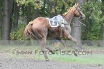 171008_pc_0338_s.JPG