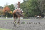 171008_pc_0340_s.JPG