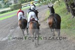 171008_pc_0352_s.JPG