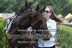 180603_ba_0066_s.JPG