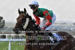 181006_br_0337_s.JPG