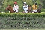 180501_ll_0180_s.JPG