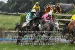 180609_pc_0205_s.JPG