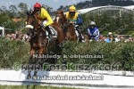 180707_sh_0271_s.JPG