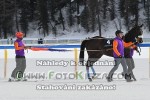 180218_sm_0303_s.JPG