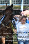 180902_wr_0228_s.JPG