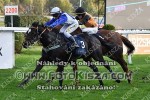 191027_ch_0318_s.JPG