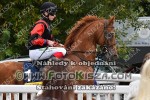 190908_ch_0280_s.JPG