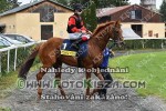190908_ch_0281_s.JPG