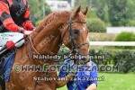 190908_ch_0285_s.JPG