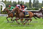 190908_ch_0327_s.JPG