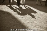 190803_ja_0128_s.jpg