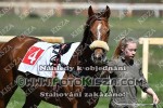 190419_ll_0019_s.JPG