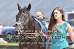 190803_sl_0297_s.JPG