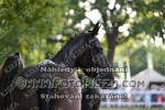 240714_ba_0716_s.jpg