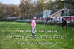 241103_ba_0309_s.jpg