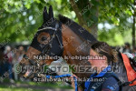 240615_br_0163_s.JPG