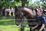 240615_br_0219_s.JPG