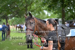 240615_br_0437_s.JPG