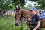 240615_br_0440_s.JPG