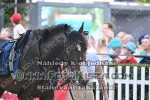 240623_ch_0451_s.jpg
