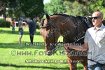 240623_ch_0705_s.jpg