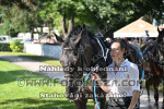 240623_ch_0708_s.jpg