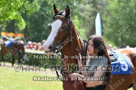 240501_ll_0034_s.JPG