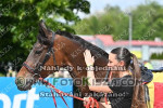 240511_sl_0261_s.JPG