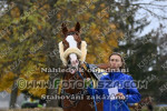 241028_sl_0004_s.JPG